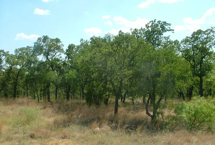 Lot 263 Ridgeline Drive, Chico, TX 76431 - Image #3