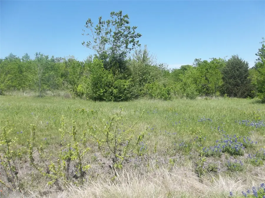 38 AC Dobbins Road, Corsicana, TX 75110 - Image #3
