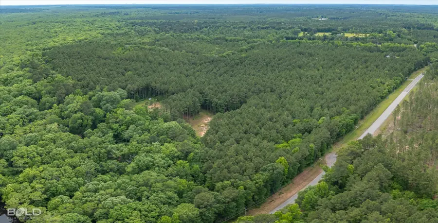 0 Highway 157, Benton, LA 71006 - Image #2