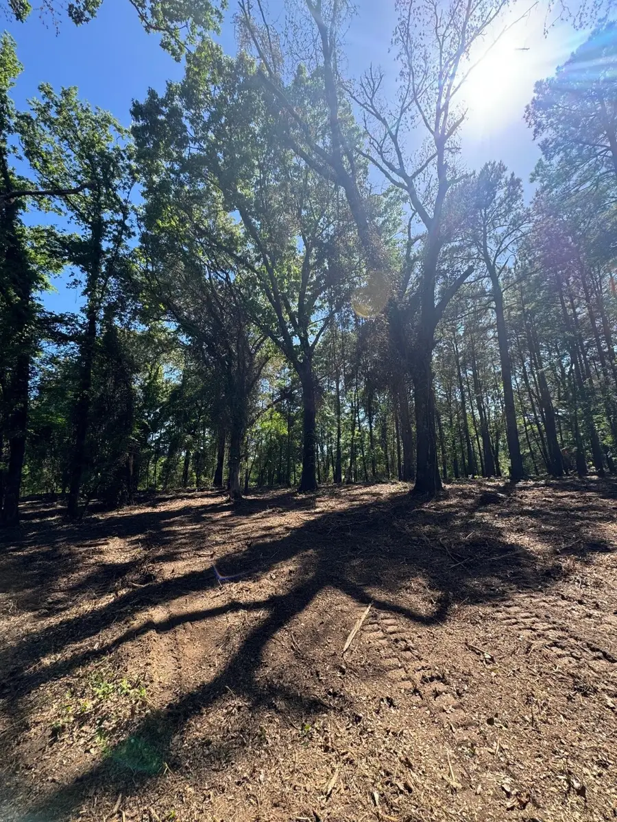 12983 County Road 4122, Lindale, TX 75771 - Image #2