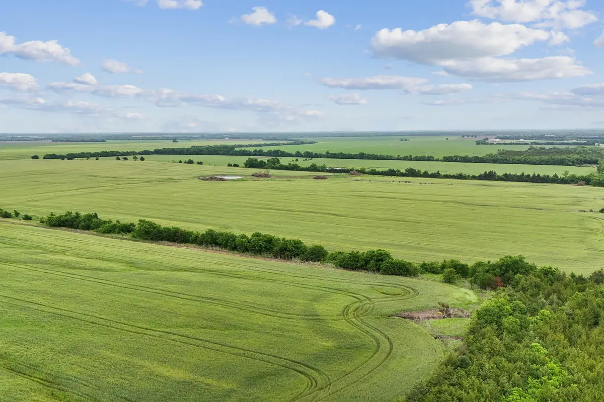 0 County Road 23900, Brookston, TX 75421 - Image #1