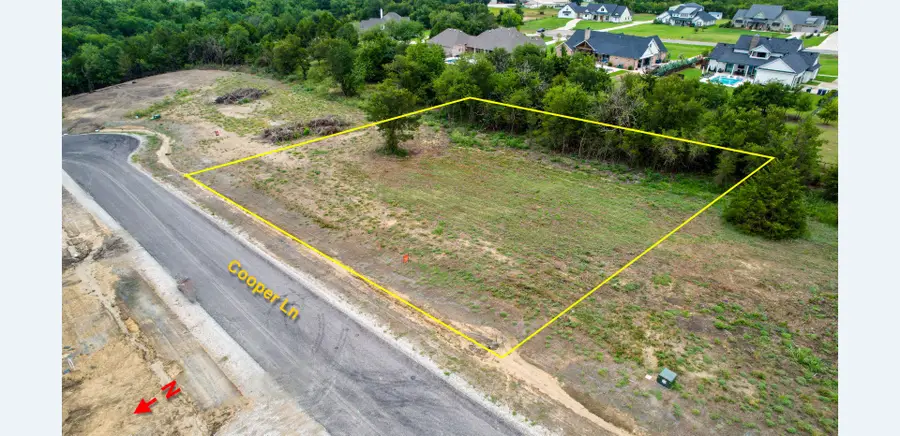 252 Cooper Lane, Van Alstyne, TX 75495 - Image #3