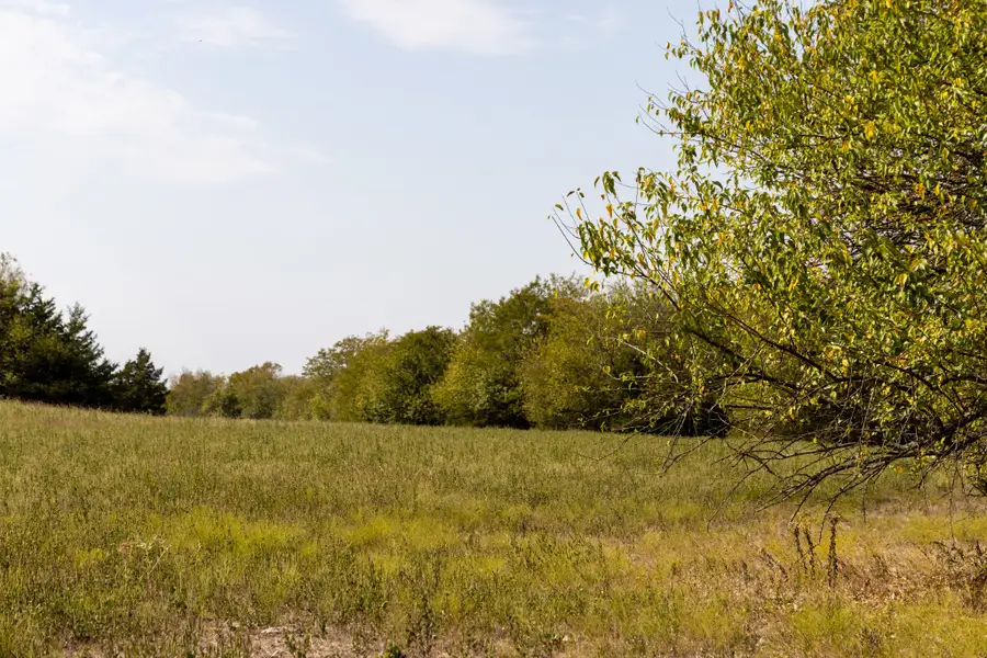 Tract 6 County Road 2935, Dodd City, TX 75438 - #2