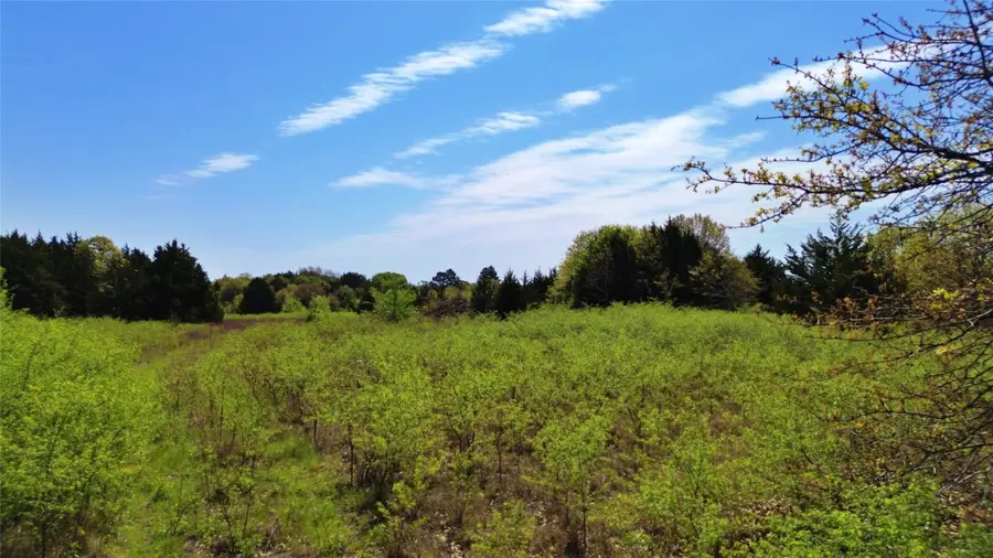 1064 Burrows Chapel Road, Whitesboro, TX 76273 - Image #3