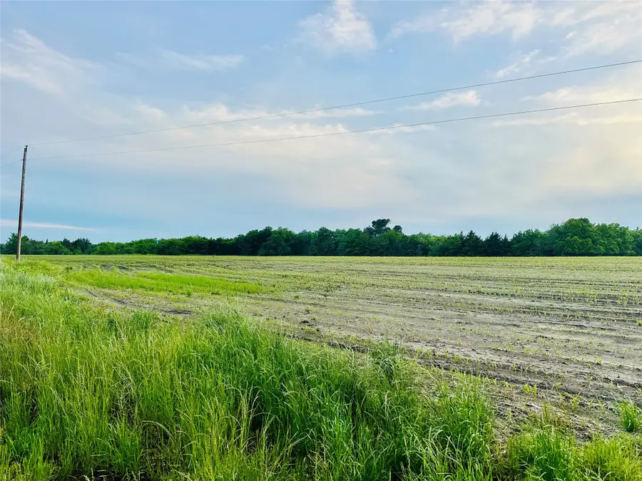 0 Cr 3520, Honey Grove, TX 75446 - Image #2