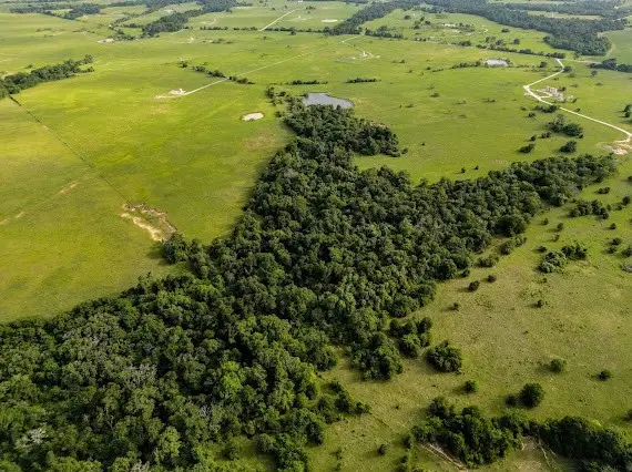 70+/- Acres Turner, Franklin, TX 77856 - Image #2