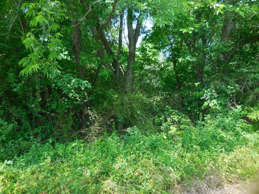 .38 Acre Garrett Avenue, East Tawakoni, TX 75472 - Image #3