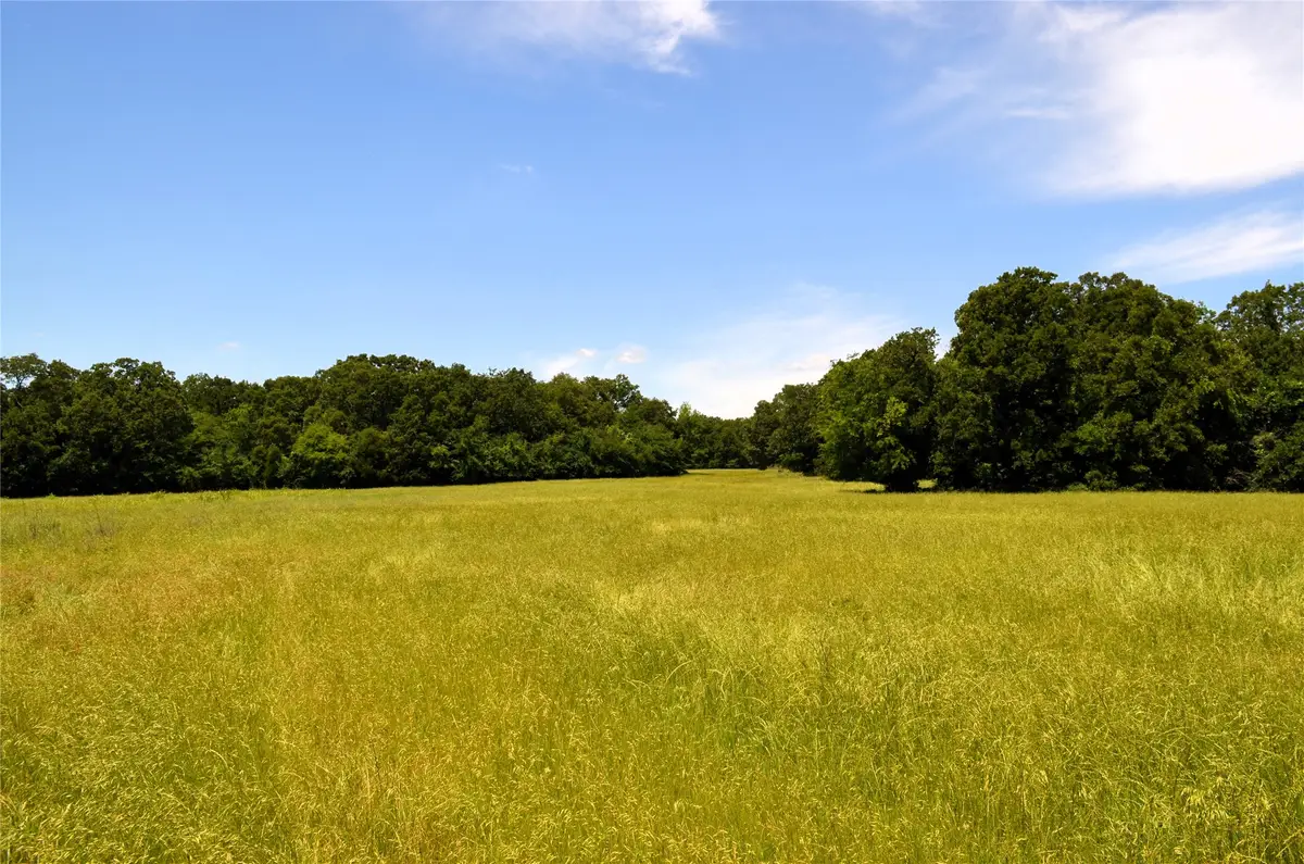 0 County Road #2854, Eustace, TX 75124 - Image #1