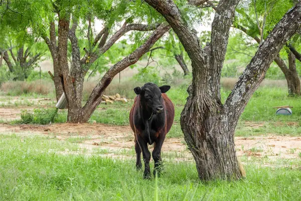 5088 Us-67 #84, Brownwood, TX 76801