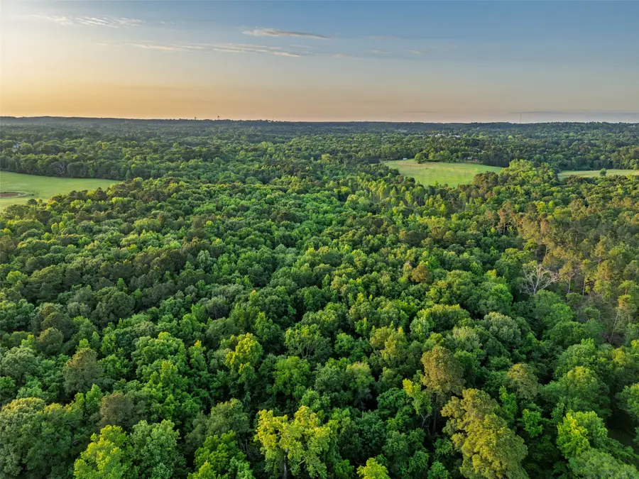 00 Farm To Market Road 752, Rusk, TX 75785 - Image #2