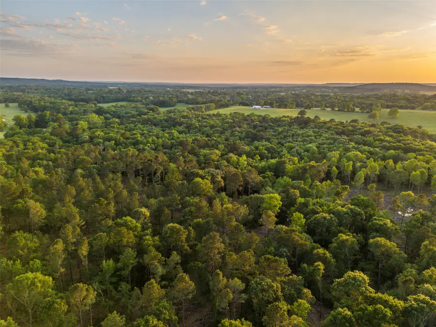 00 Farm To Market Road 752, Rusk, TX 75785 - Image #3