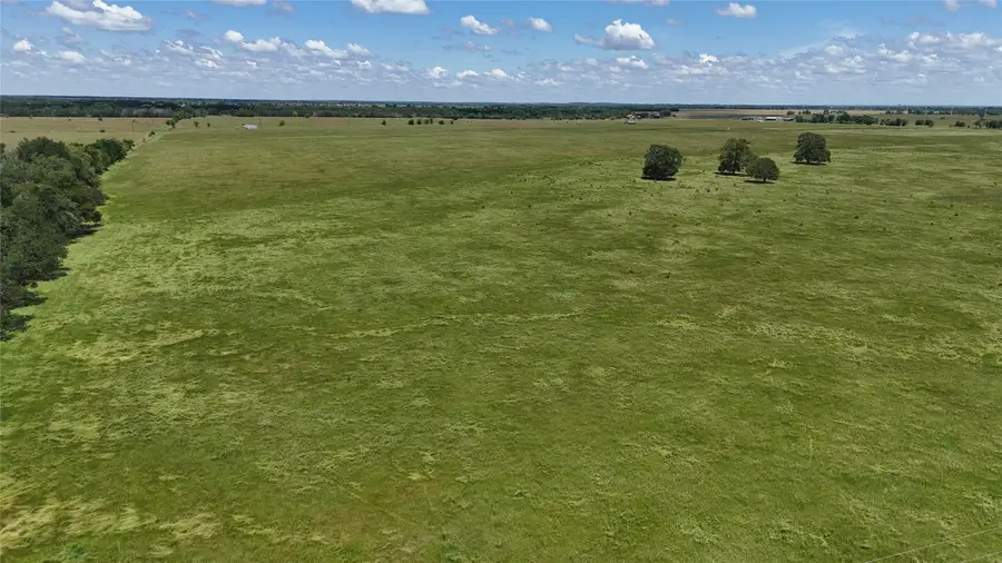 TBD LOT 1 County Road 4210, Kerens, TX 75144 - Image #3