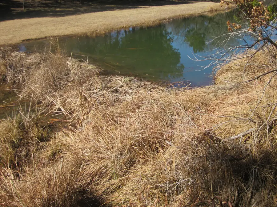 TBD Fm, Tuscola, TX 79562 - Image #2