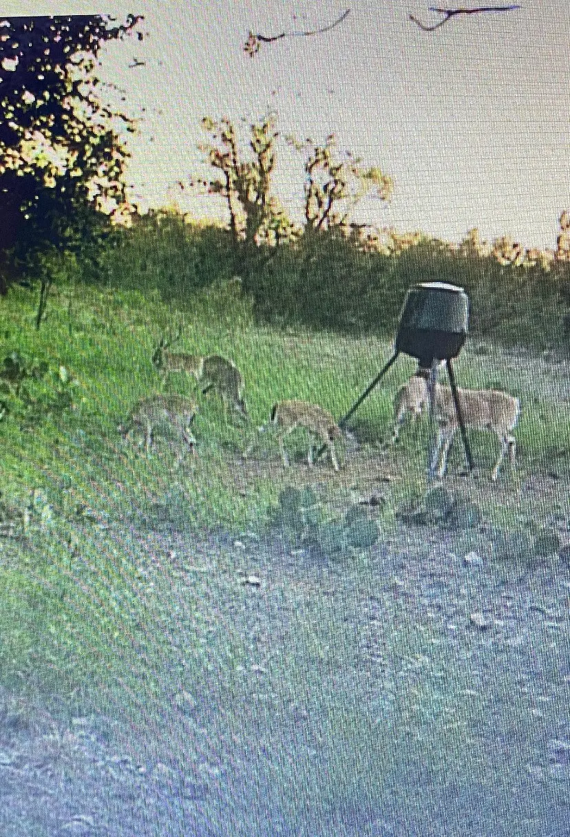 TBD County Road 225, Brookesmith, TX 76827 - Image #1