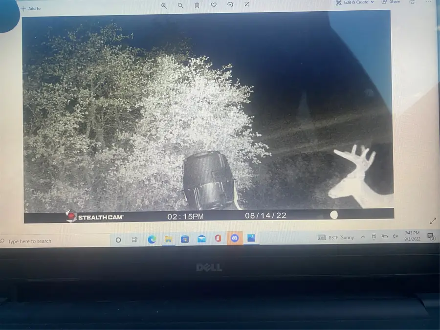 TBD County Road 225, Brookesmith, TX 76827 - Image #2