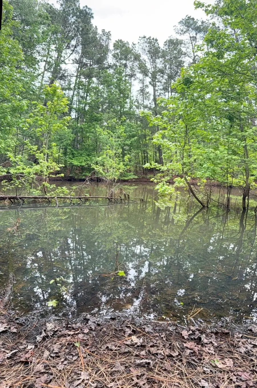 TBD County Road 3206, Mount Enterprise, TX 75681 - Image #2