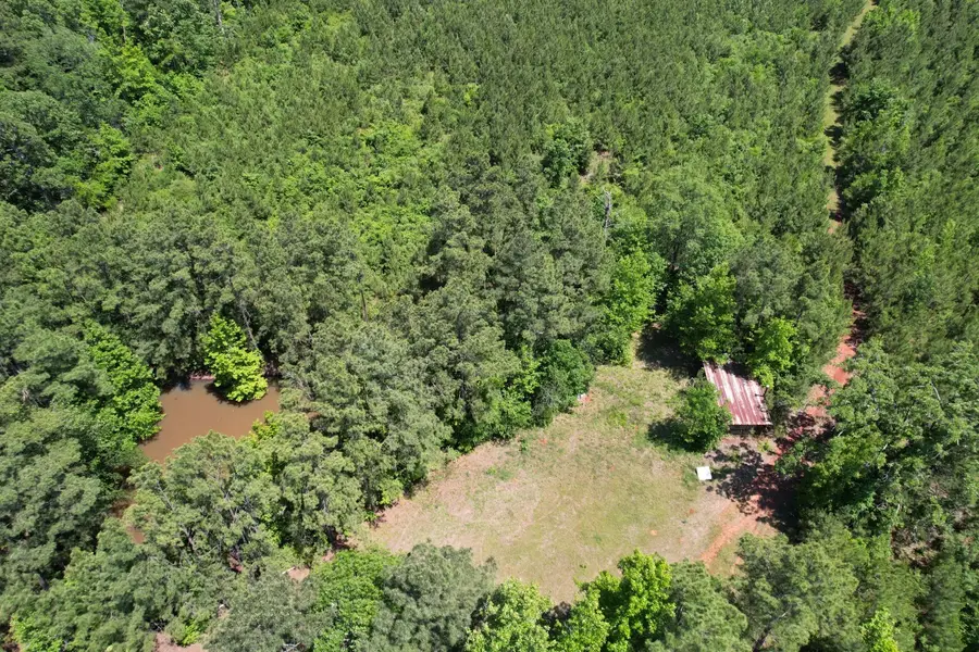 TBD County Road 3206, Mount Enterprise, TX 75681 - Image #3