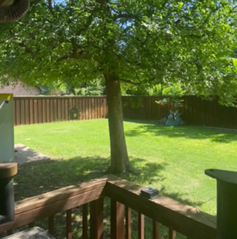 1106 Payne, Olney, TX 76374 - Image #2