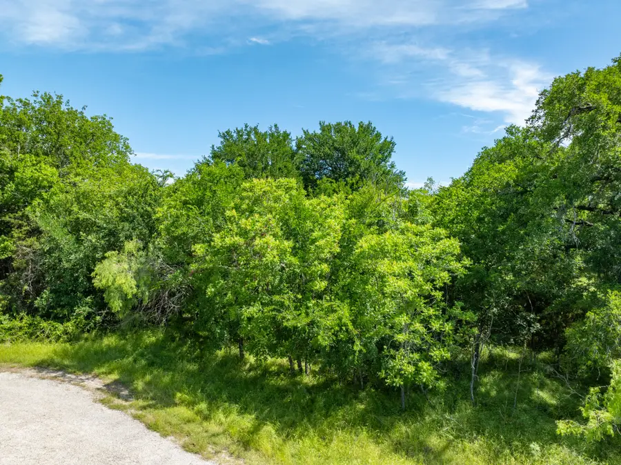 21086 Trailwood Drive, Whitney, TX 76692 - #3