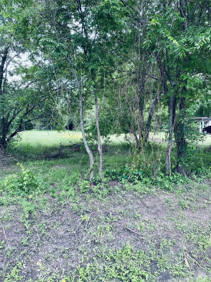 1000 Silver Creek Drive, Desoto, TX 75115 - Image #2