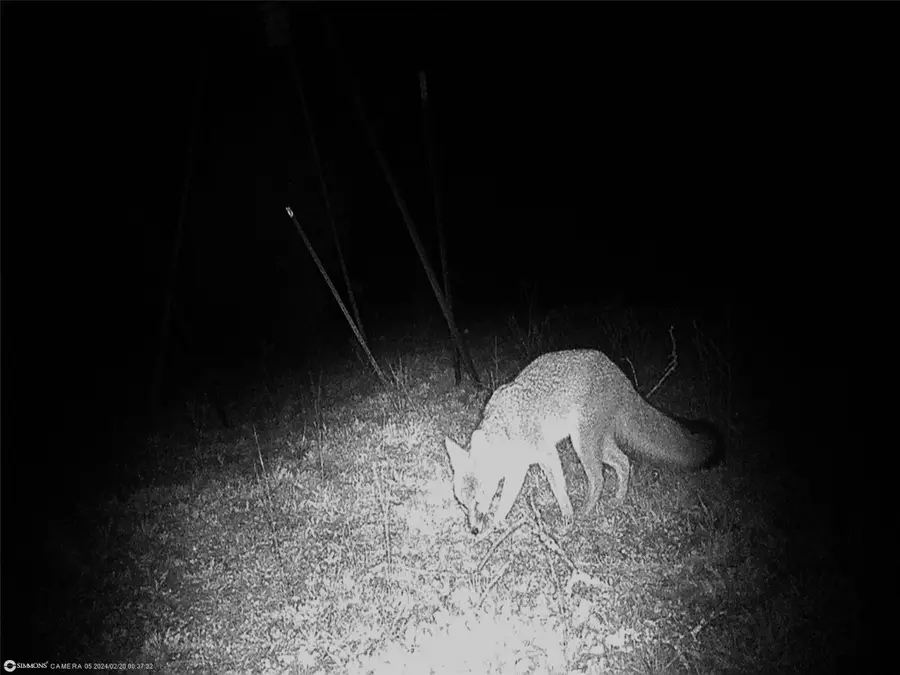 TBD Highway 16 S, San Saba, TX 76877 - Image #3