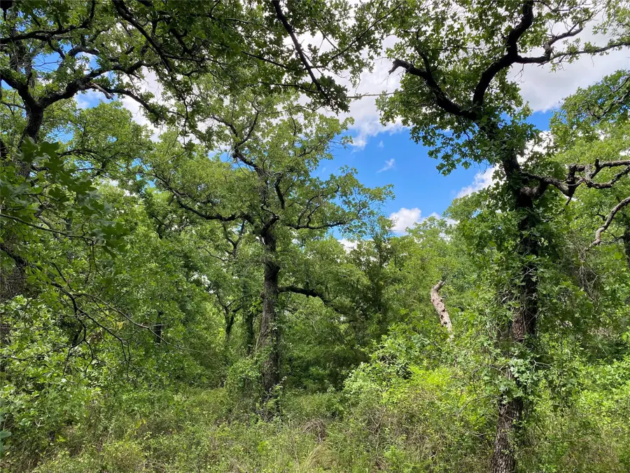 106 Hondo Drive, Nocona, TX 76255 - Image #3