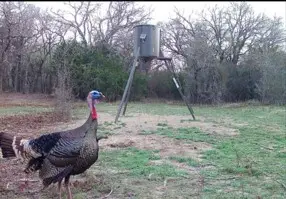 lot 15 & 16 N Stallion Meadows Drive, Perrin, TX 76486 - Image #3