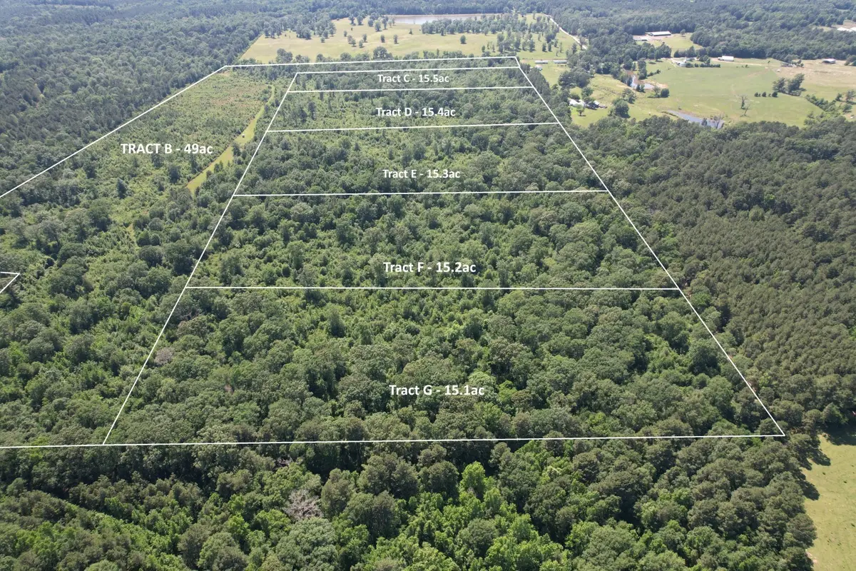 TBD-D County Road 4021, Timpson, TX 75975 - #1