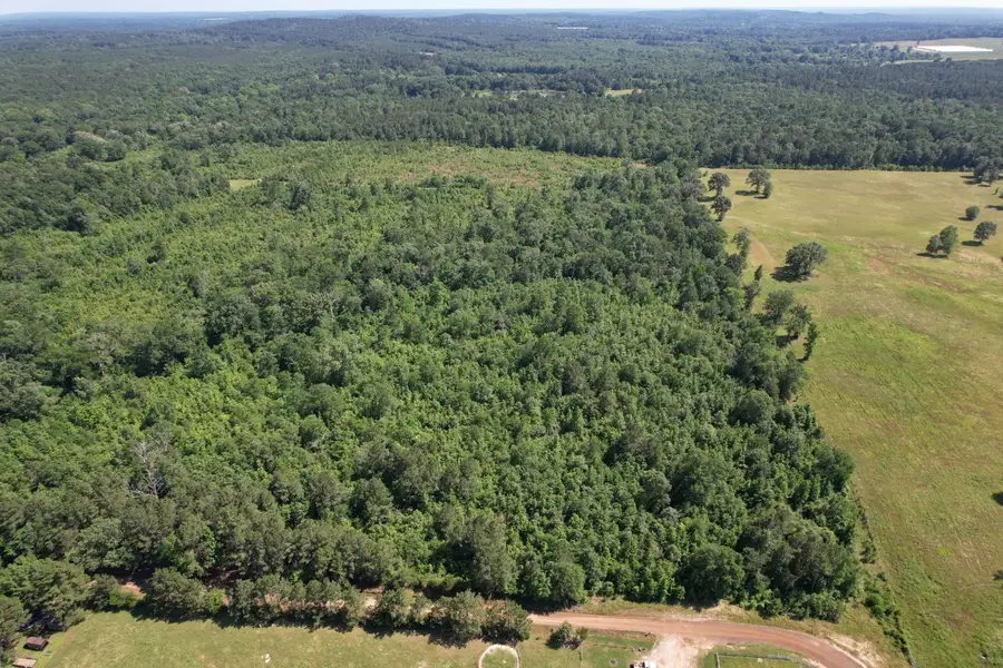TBD-D County Road 4021, Timpson, TX 75975 - #3