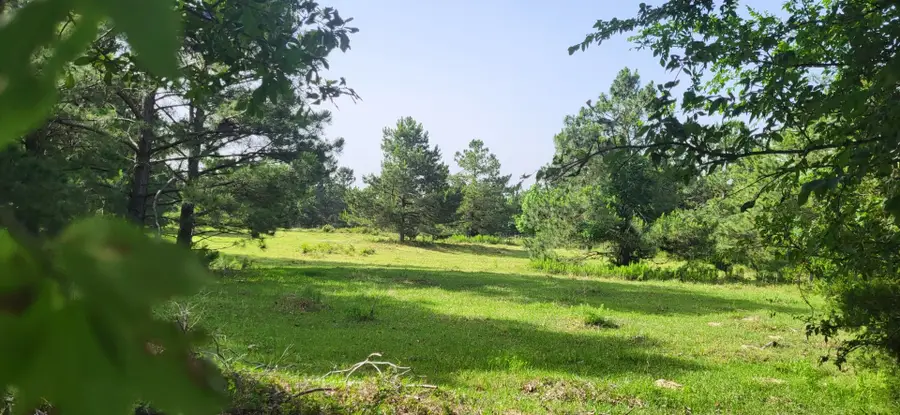 TBD Cr 1176, Sulphur Springs, TX 75482 - Image #2