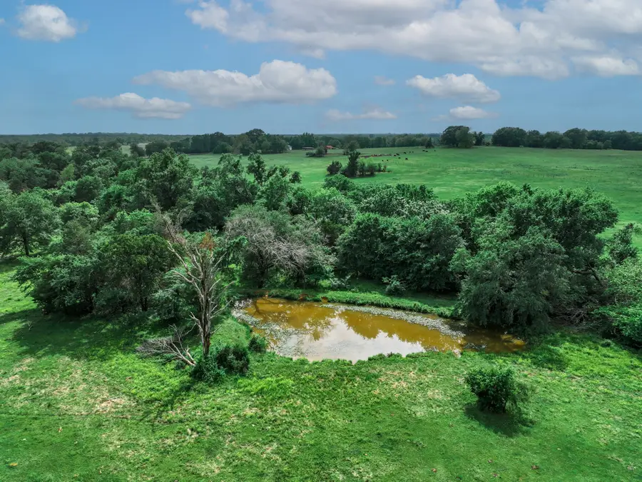 29.987 Acres Texas Highway 11 E, Pickton, TX 75471 - Image #3