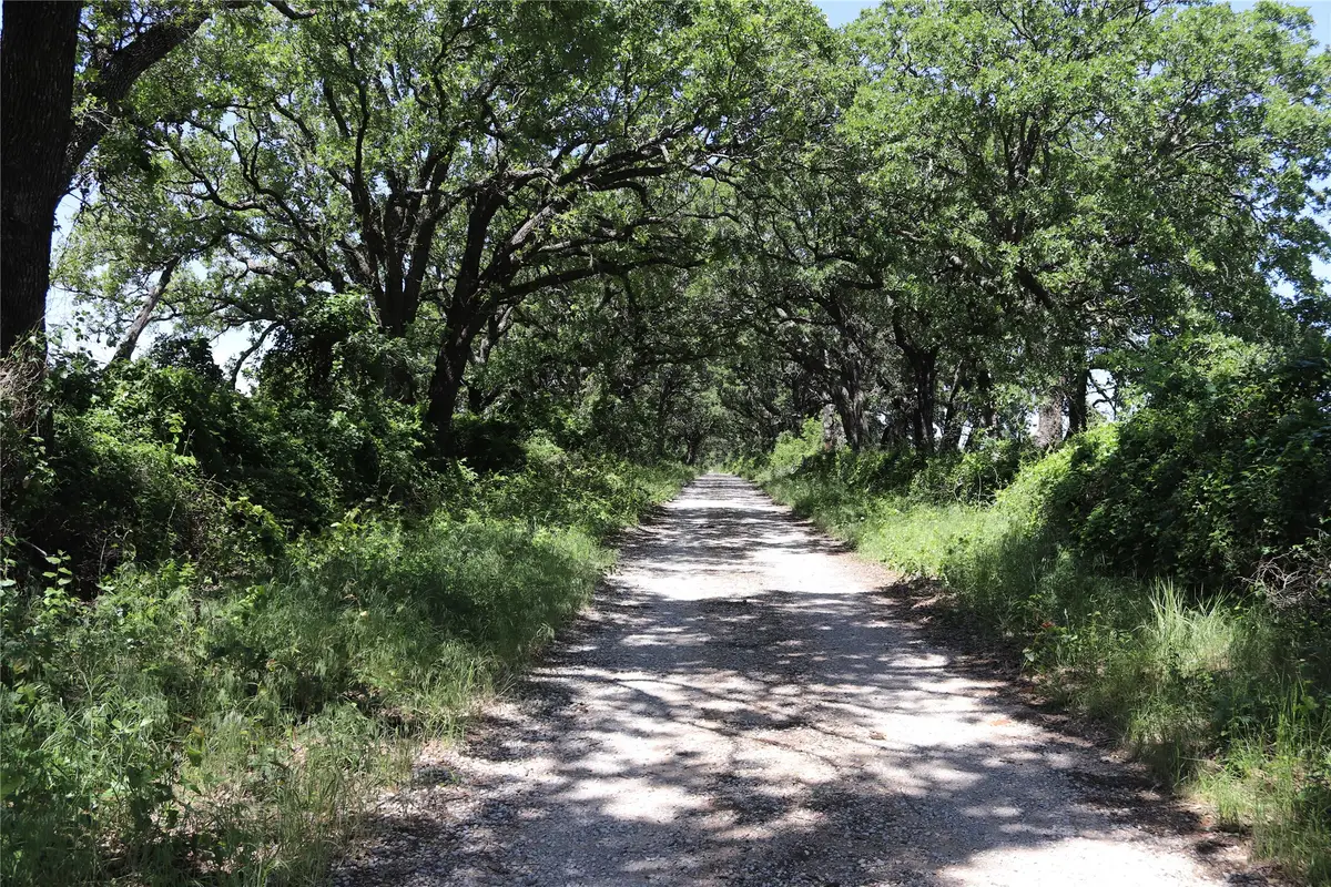 120 Acres Deer Creek Rd, Henrietta, TX 76365 - Image #1