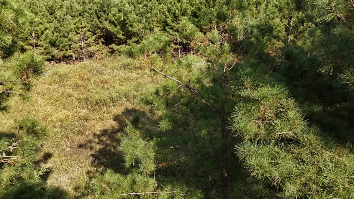 TBD County Road 3121, Henderson, TX 75669 - Image #1