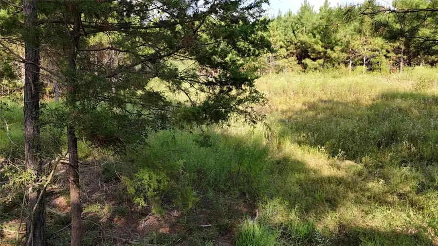 TBD County Road 3121, Henderson, TX 75669 - Image #2