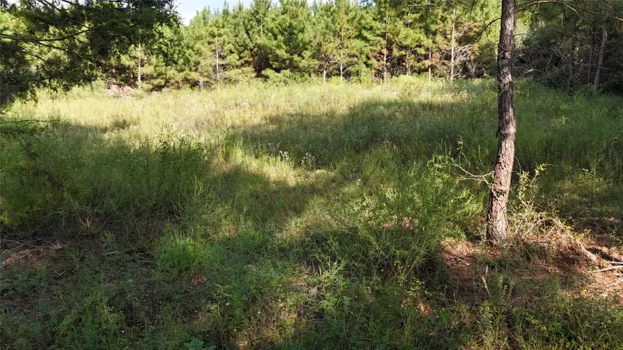 TBD County Road 3121, Henderson, TX 75669 - Image #3