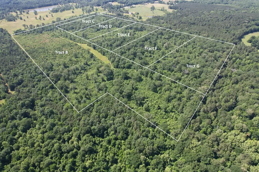 TBD-F County Road 4021, Timpson, TX 75975 - #2