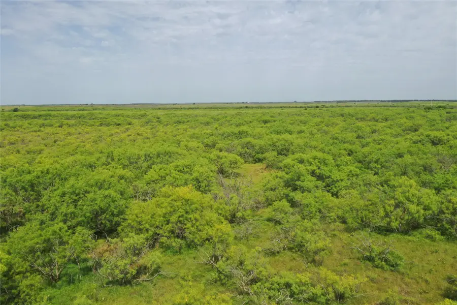 TBD Fm 2321-tract 3, Bellevue, TX 76228 - Image #3