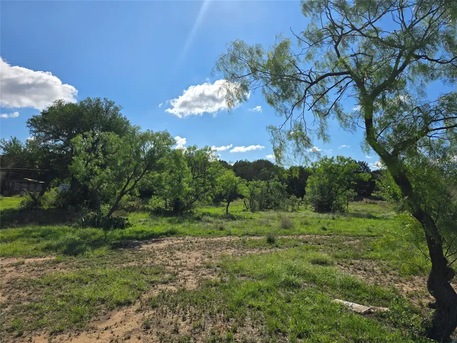 TBD County Road 218, Santa Anna, TX 76878 - Image #3