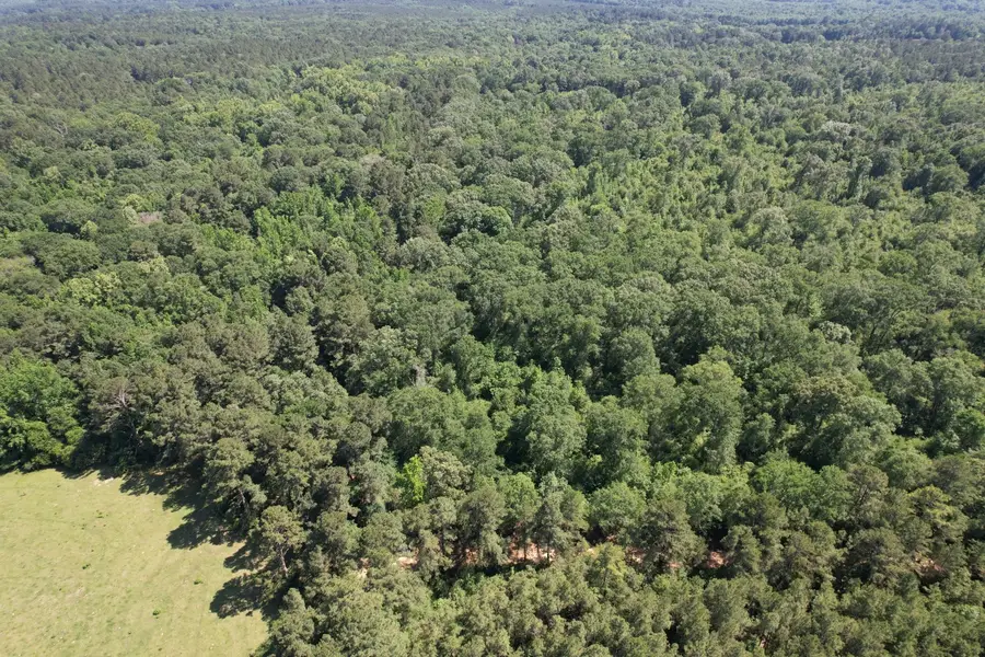 TBD-G County Road 4021, Timpson, TX 75975 - #3