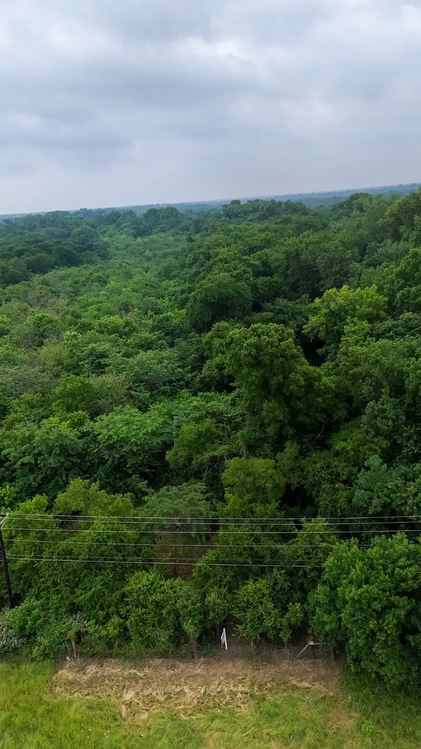 TBD Commerce Dr, Greenville, TX 75401 - Image #3