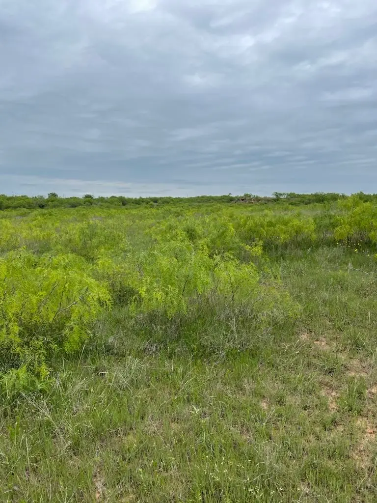 000 Hopewell, Bellevue, TX 76228 - Image #1