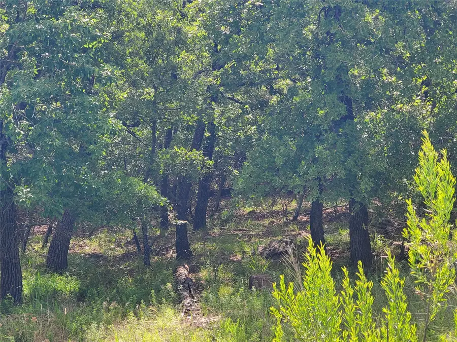 Lot 649 Horizon Ridge, Sunset, TX 76270 - Image #3