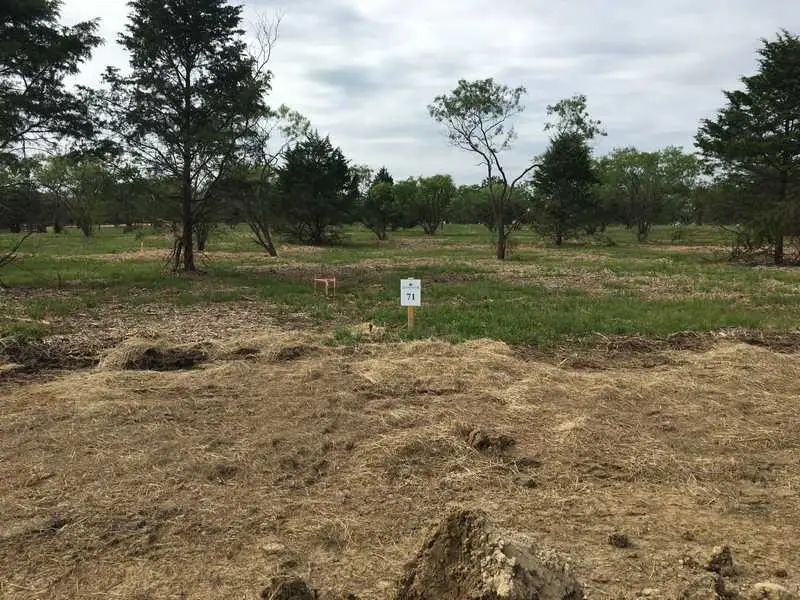 9108 W Shoreline Drive, Kemp, TX 75143 - Image #2