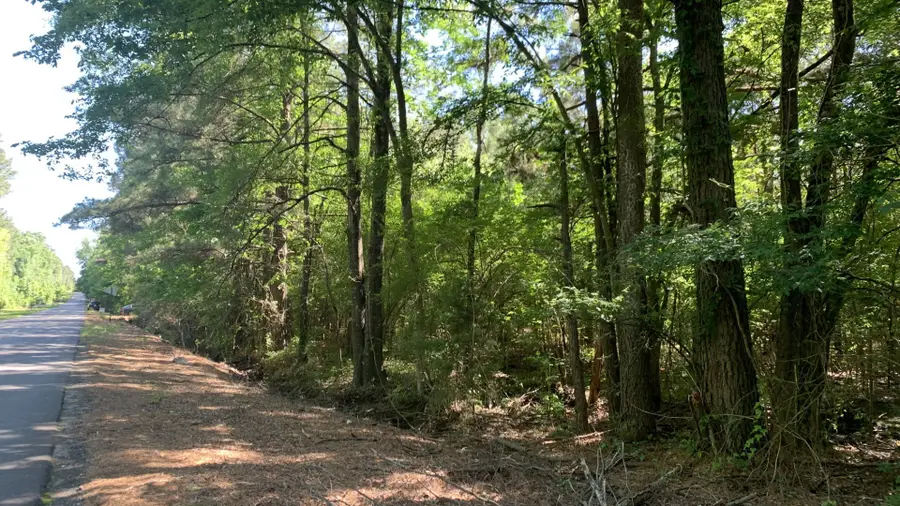 10040 Cook Road, Bethany, LA 71007 - Image #3