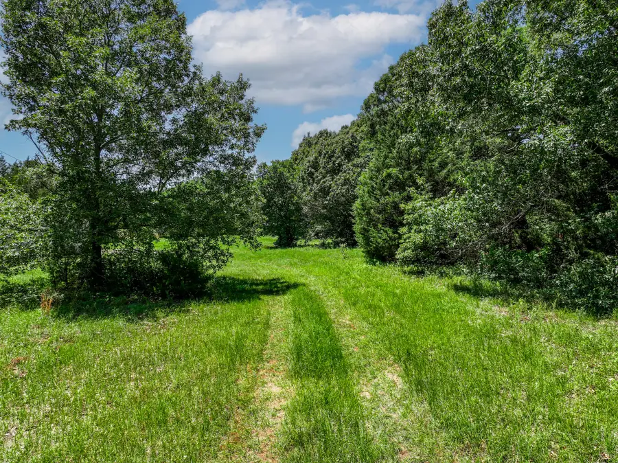 TBD Pvt Rd 6142, Wills Point, TX 75169 - Image #3