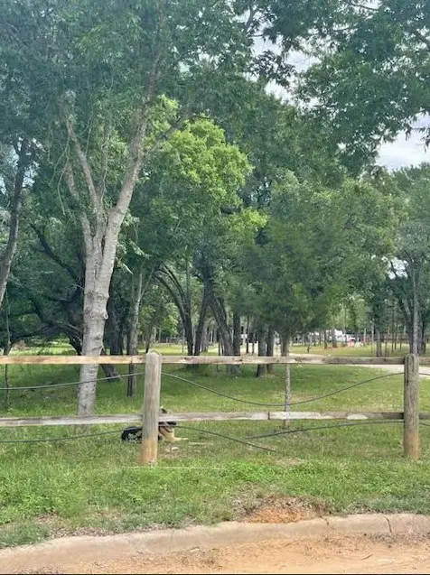 151 Morgan Road, Mansfield, TX 76063 - Image #2