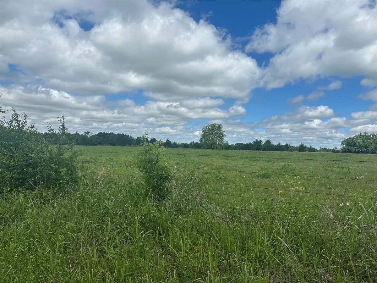 Lot 10 County Road 1400, Ravenna, TX 75476 - Image #1