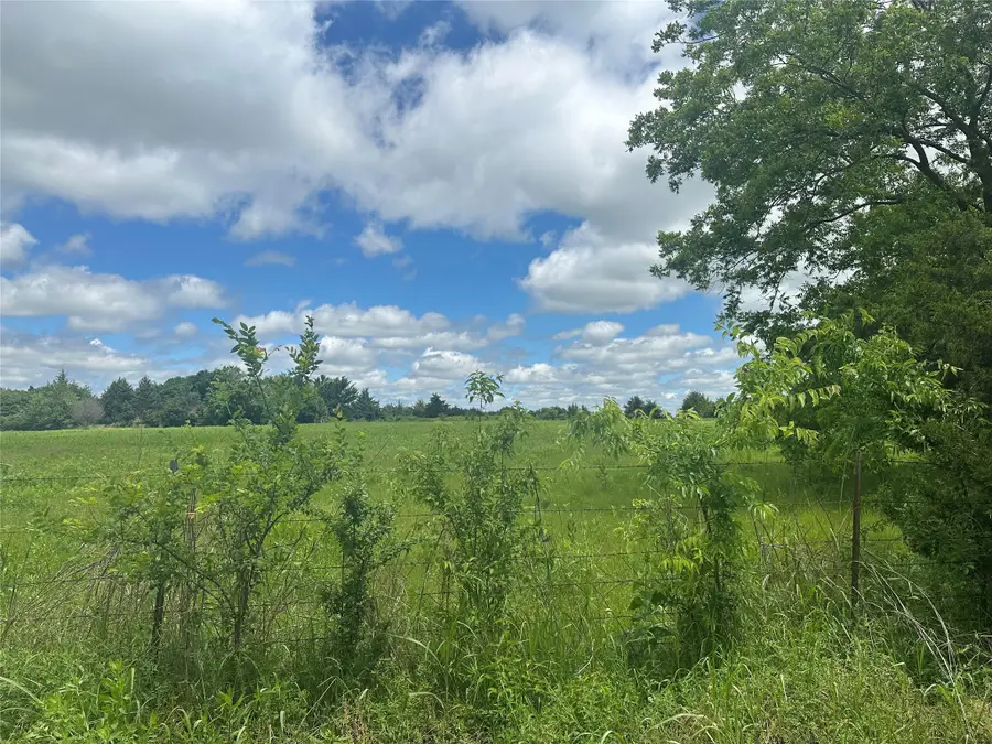 Lot 10 County Road 1400, Ravenna, TX 75476 - Image #2