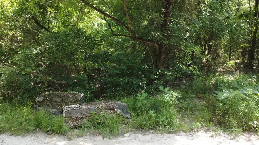 TBD 1.9 Acres Lot 36, Wills Point, TX 75169 - Image #2