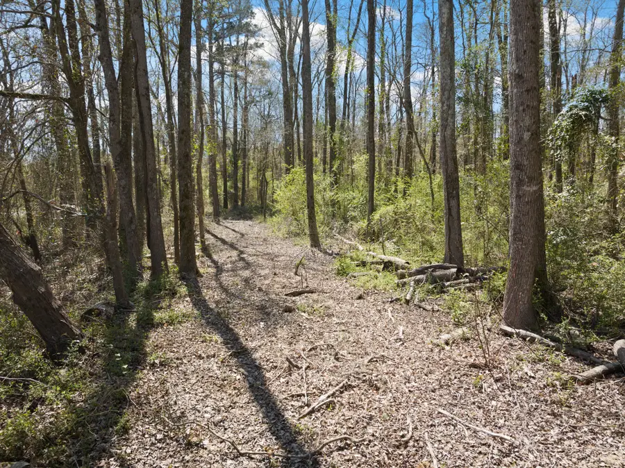 Lot 1 & 2 Cr 4365, Mount Pleasant, TX 75455 - Image #3